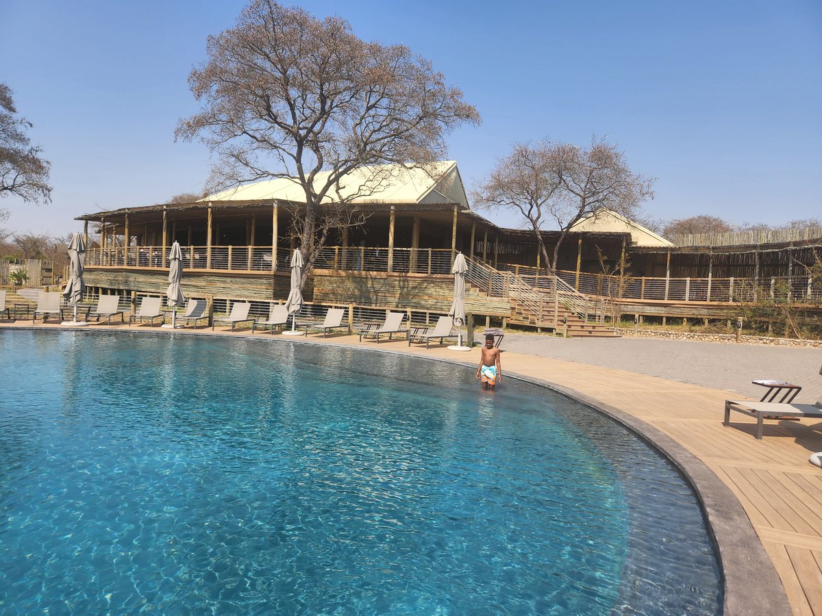 mabasa_bulelwa's tweet photo. Mdluli Safari Lodge is 1 of the jewels in the Kruger National Park. Land owned by the community is sustainable thru a strategic partnership with Grovest. Community has free title to land. I detail this success story in my memoir"MyLandObession".Land reform is possible. https://t.co/P5NWH5l1MZ