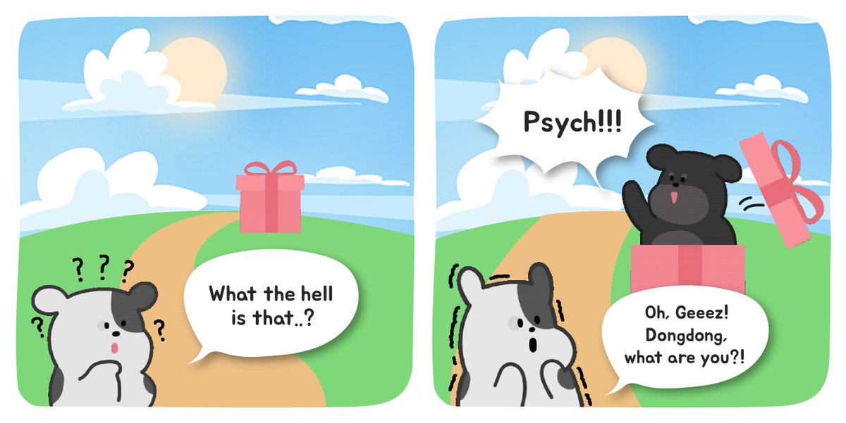 STRAY DOGS ADVENTURE tweet media
