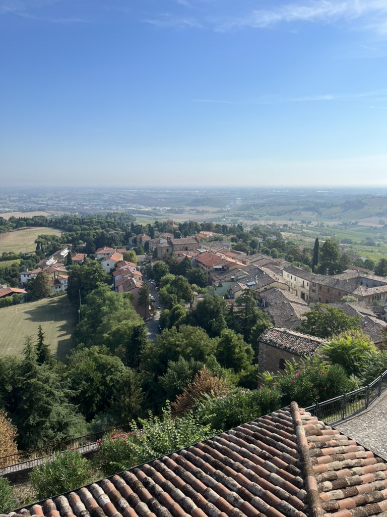 Matteo Fuoli tweet media