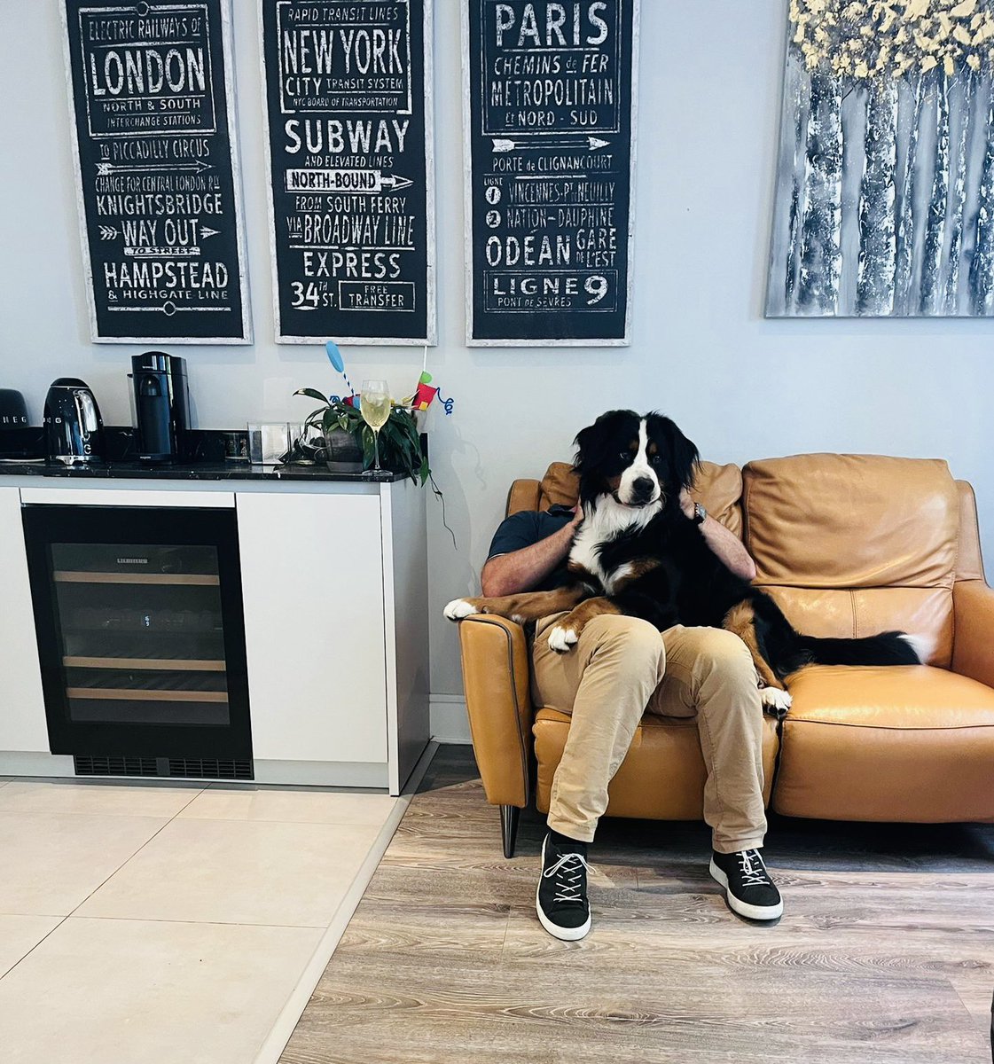 colinmeagle's tweet photo. When you’re trying to have a grown up conversation but your 🐶 is huge… #nofacetime #maxijazz #internationaldogday ❤️ https://t.co/lrdpeDwkD1
