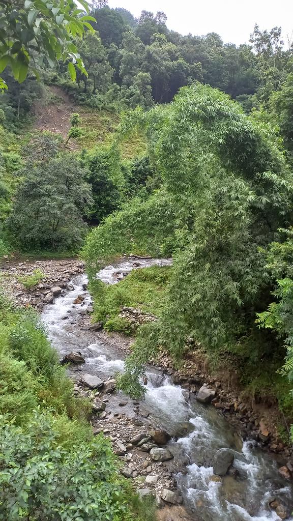 bhnadarisudeep's tweet photo. चेपेको तिरैतिर, भिरै भिर #Rainas #Lamjung
#Travel #NepalHimalayas https://t.co/5gMzYlaFS5