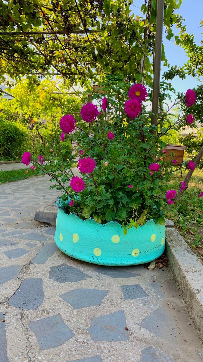 Guest house "Keria at Nadikvari" greets with new colors of asters and spiced grapes) Welcome)

Гостевой дом «Keria at Nadikvari» встречает новыми красками астр и спеющего винограда) Добро пожаловать)