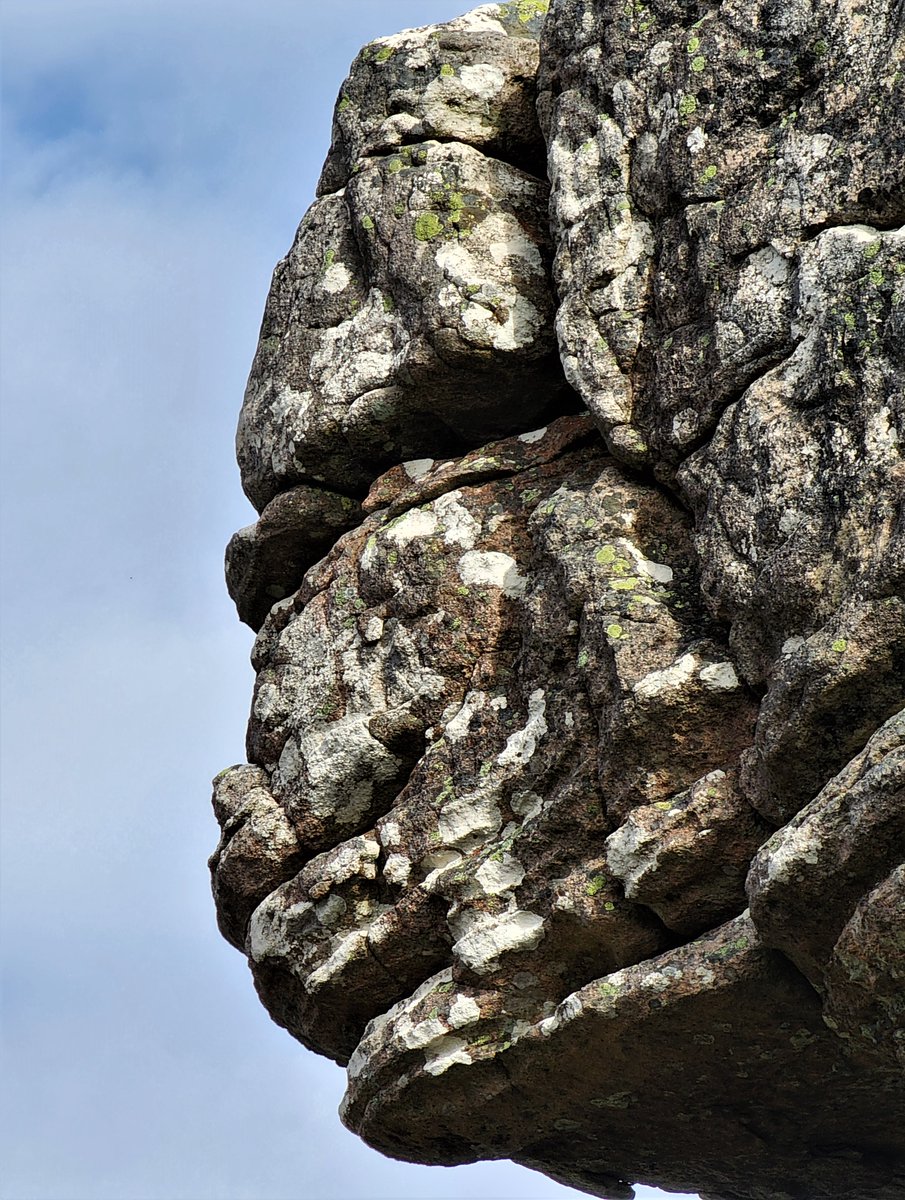 TonySowersby's tweet photo. The gargoyles of Gariwerd.
Some of the incredible protruding rock formations in the mountains of #TheGrampiansNationalPark.
#DjabWurrungcountry and #Jardwardjalicountry
#Gariwerd #gargoyles https://t.co/bds6ZRgCQ4