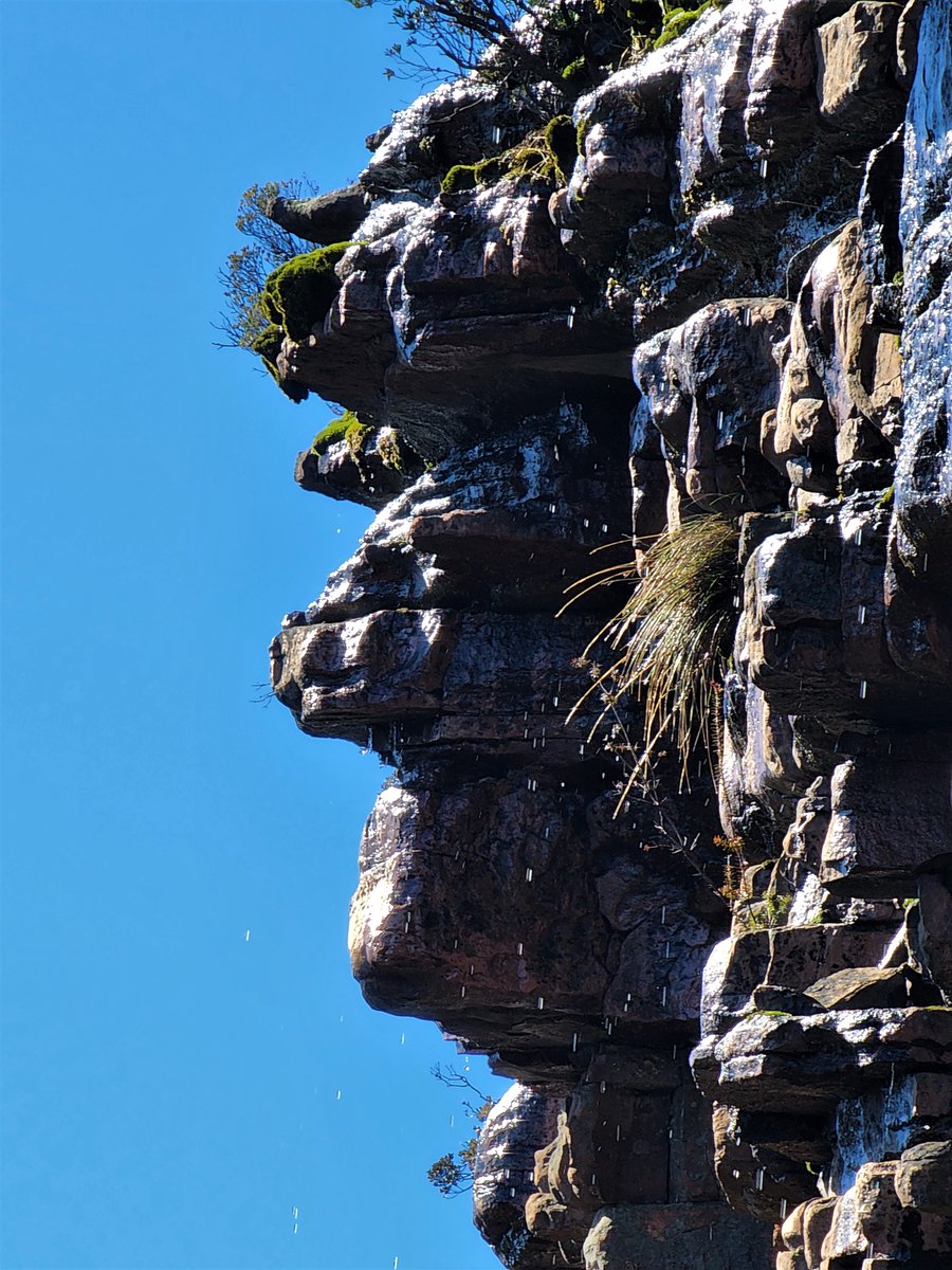 TonySowersby's tweet photo. The gargoyles of Gariwerd.
Some of the incredible protruding rock formations in the mountains of #TheGrampiansNationalPark.
#DjabWurrungcountry and #Jardwardjalicountry
#Gariwerd #gargoyles https://t.co/bds6ZRgCQ4