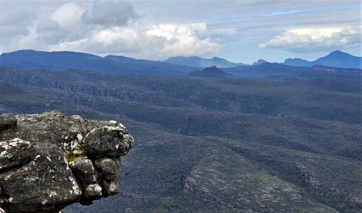 TonySowersby's tweet photo. The gargoyles of Gariwerd.
Some of the incredible protruding rock formations in the mountains of #TheGrampiansNationalPark.
#DjabWurrungcountry and #Jardwardjalicountry
#Gariwerd #gargoyles https://t.co/bds6ZRgCQ4