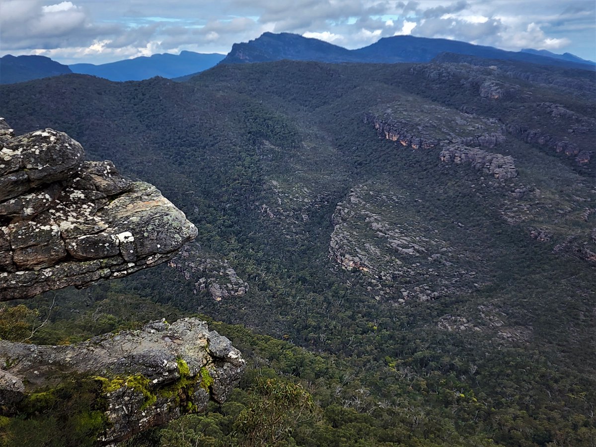 TonySowersby's tweet photo. The gargoyles of Gariwerd.
Some of the incredible protruding rock formations in the mountains of #TheGrampiansNationalPark.
#DjabWurrungcountry and #Jardwardjalicountry
#Gariwerd #gargoyles https://t.co/bds6ZRgCQ4
