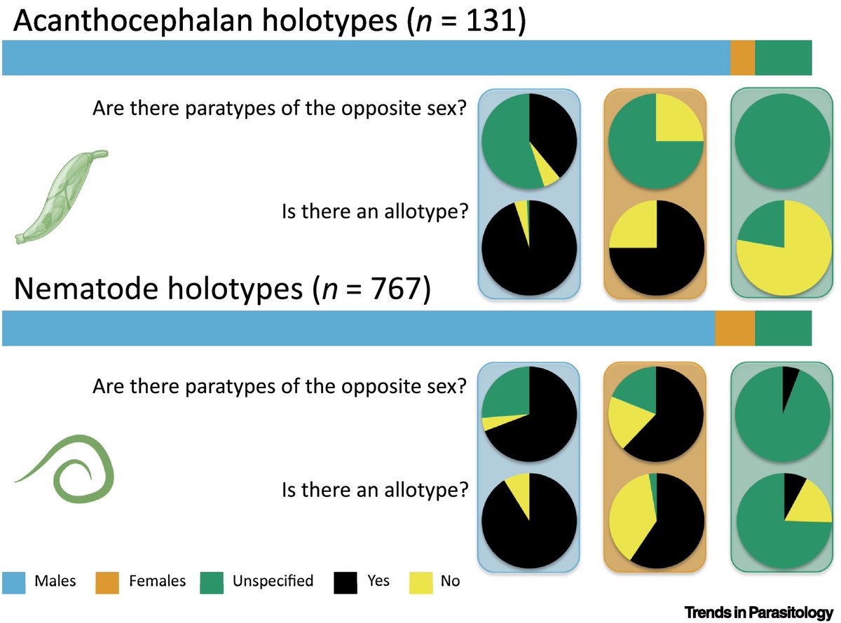 Trends in Parasitology (@trendsparasitol) on Twitter photo Drs Robert Poulin, Bronwen Presswell & <a href="/Jerushark/">Jerusha Bennett</a> discuss male-biased selection of #holotypes in parasite #taxonomy: is it justified? <a href="/Zoology_Otago/">Zoology_Otago</a> <a href="/otago/">University of Otago</a> #Acanthocephala #Nematoda #Allotype #Paratype #Species #Specimen
authors.elsevier.com/a/1fenI5Eb1xBg… Drs Robert Poulin, Bronwen Presswell & <a href="/Jerushark/">Jerusha Bennett</a> discuss male-biased selection of #holotypes in parasite #taxonomy: is it justified? <a href="/Zoology_Otago/">Zoology_Otago</a> <a href="/otago/">University of Otago</a> #Acanthocephala #Nematoda #Allotype #Paratype #Species #Specimen
authors.elsevier.com/a/1fenI5Eb1xBg…