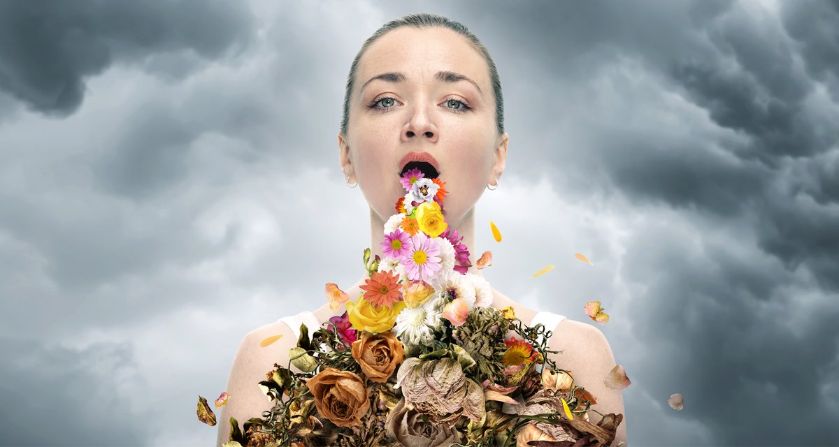 traversetheatre's tweet image. MASSIVE congratulations to This is Paradise for their two nominations in the @catsawards!

Best Female Performance: Amy Molloy
Best New Play: Michael John O'Neill

It's your last chance to catch this incredible play today at 13:00!

traverse.co.uk/whats-on/event…