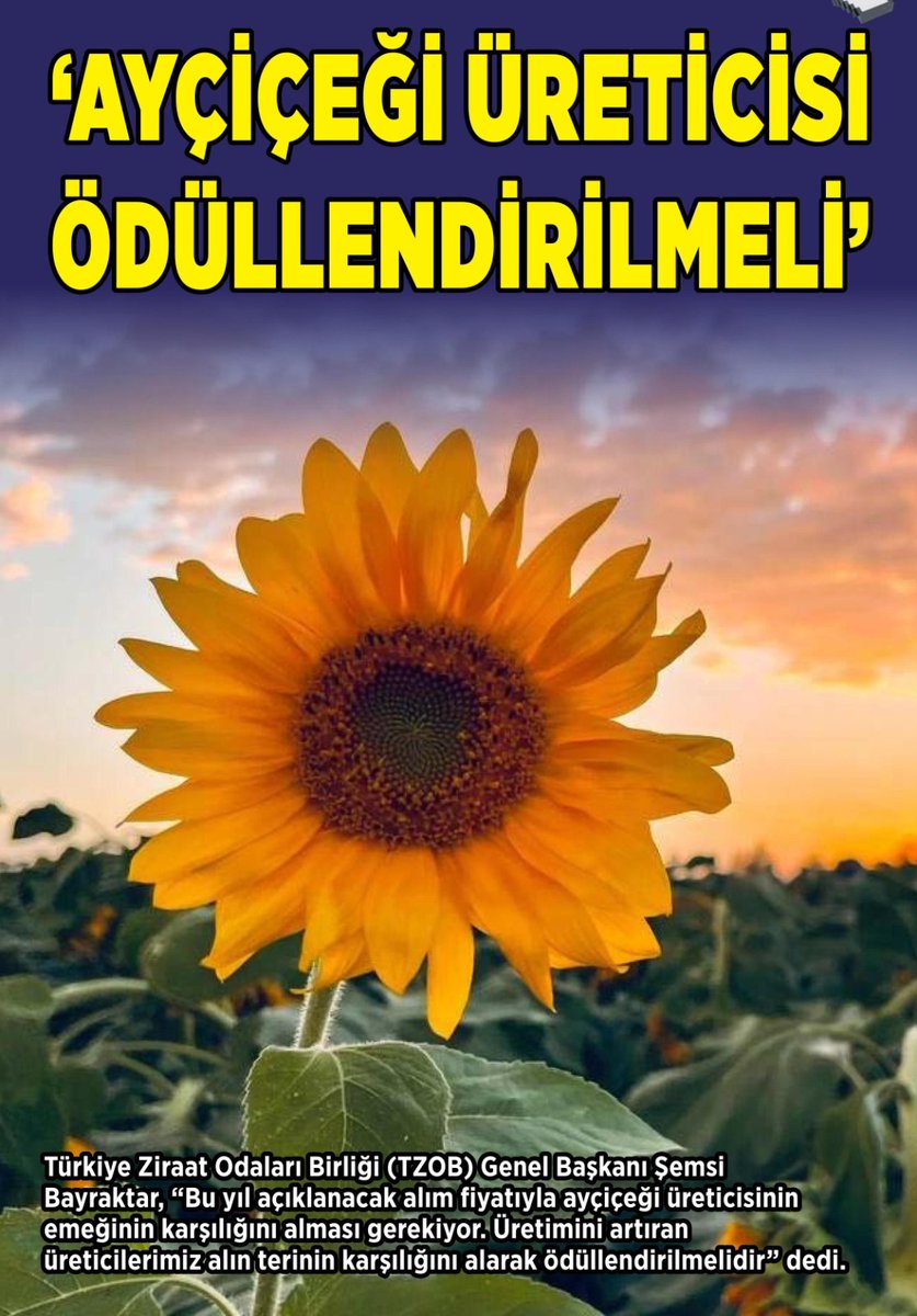 semsibayraktar's tweet photo. Alıcı kurumların bu yıl ayçiçeği alım fiyatını; artan girdi maliyetleri, enflasyon oranı ve üretici kâr marjını dikkate alarak açıklaması gerektiğini vurguladığım basın açıklaması gazetelerde geniş yer buldu. https://t.co/BubsDid1zQ
