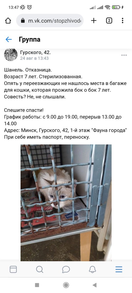 miss_lortz's tweet photo. Выязджаюць лепшыя з беларусаў, цвет нацыі, так бы мовіць! 🤩 https://t.co/gXsJK3eXlq