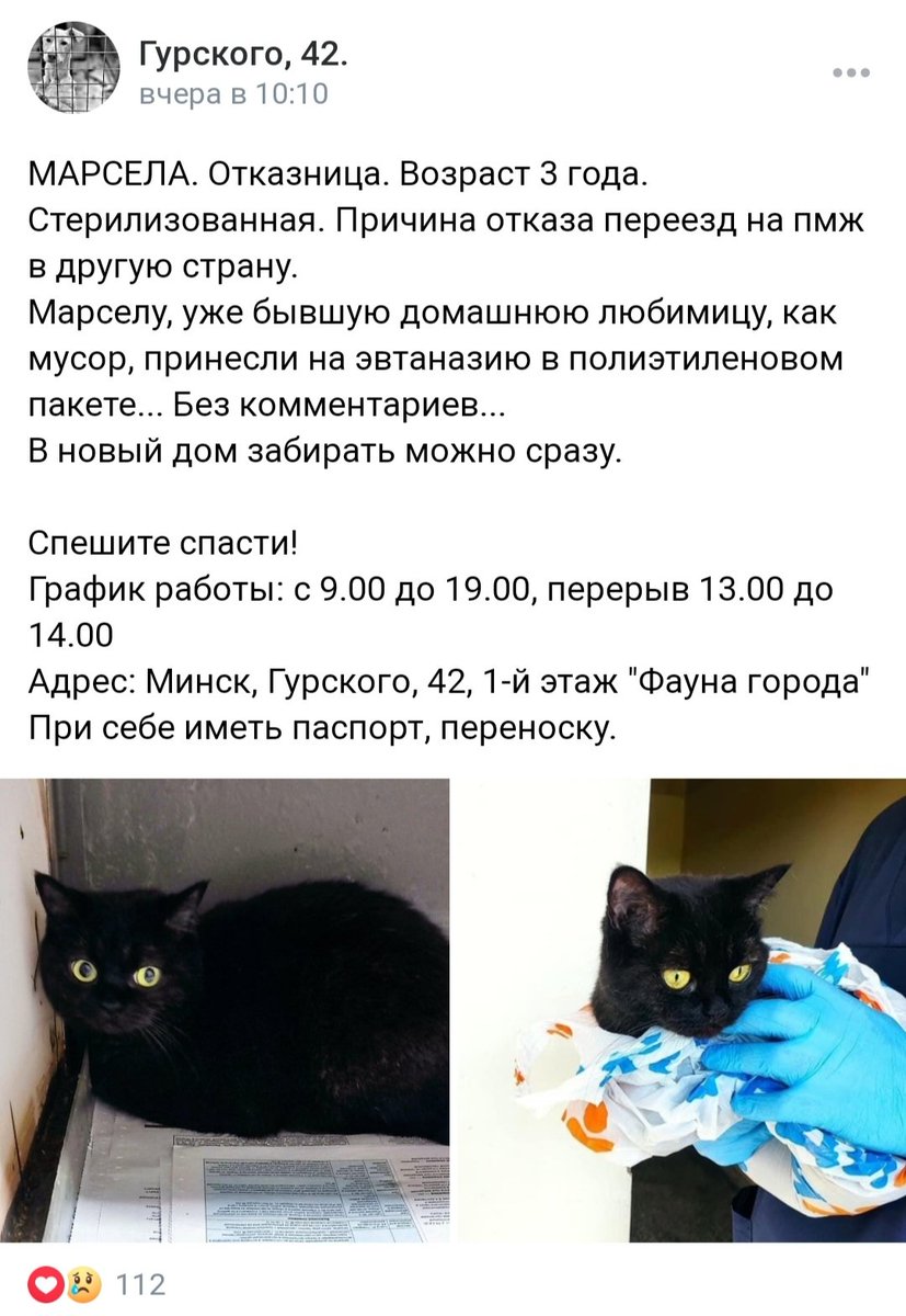 miss_lortz's tweet photo. Выязджаюць лепшыя з беларусаў, цвет нацыі, так бы мовіць! 🤩 https://t.co/gXsJK3eXlq