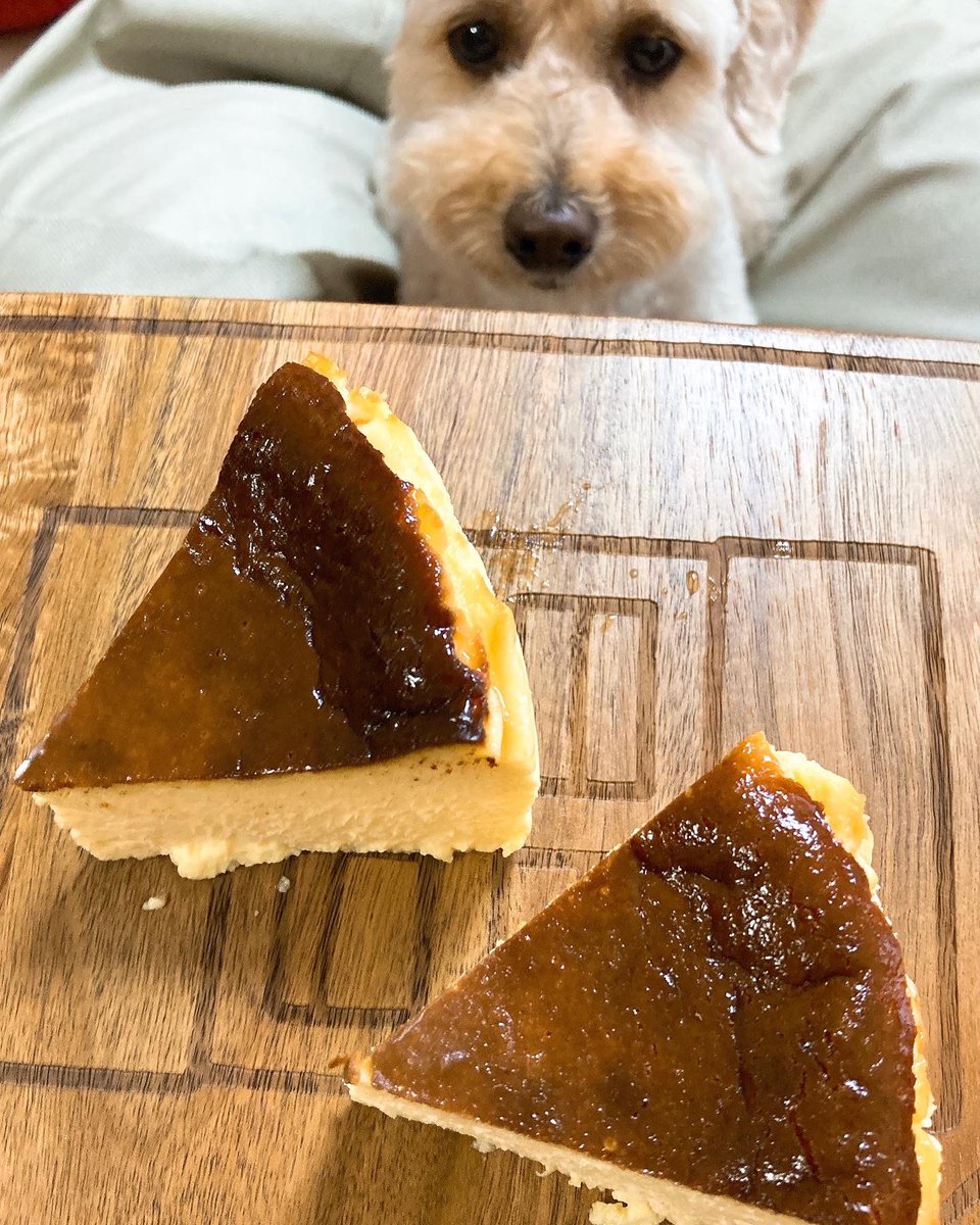 OkashiInu's tweet photo. 初挑戦のバスクチーズケーキ！250℃の��シピなのに210℃でジワジワ長く焼いてしまった…でもなめらか〜美味しい〜☺️250℃まで温度あげられるオーブン買い替え検討する機会になりました🥹🌟
#お菓子作り好きな人と繋がりたい #cotta ＃バスチー ＃ミニチュアシュナウザー #トイプードル ＃シュナカット https://t.co/yaeW3k3tLN
