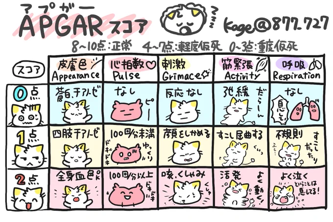 【アプガースコアめも】
新生児仮死の有無を判断するためのスケール👶
・APGARの頭文字
皮膚/心拍数/刺激(grimace顔しかめてるか)/筋緊張/呼吸
の項目があることを覚える
・点が低いほど😨
・8〜10正常/4〜7軽度/0〜3重度仮死 