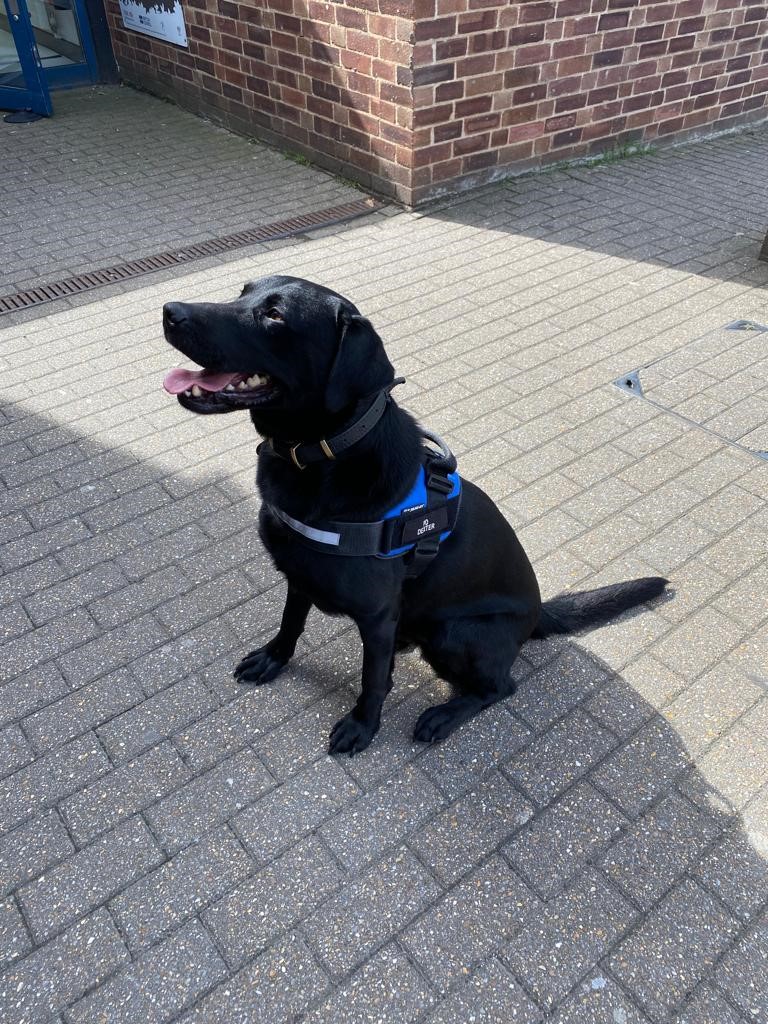 metfriendly's tweet photo. Our team is on hand to help out with the welfare and wellbeing of Police Officers working at the Notting Hill Carnival over the next two days. Come and say hello! Also great to see Police Dog Dexter. #SideBySide #BackingOurBobbies https://t.co/qP5UQOvjgD
