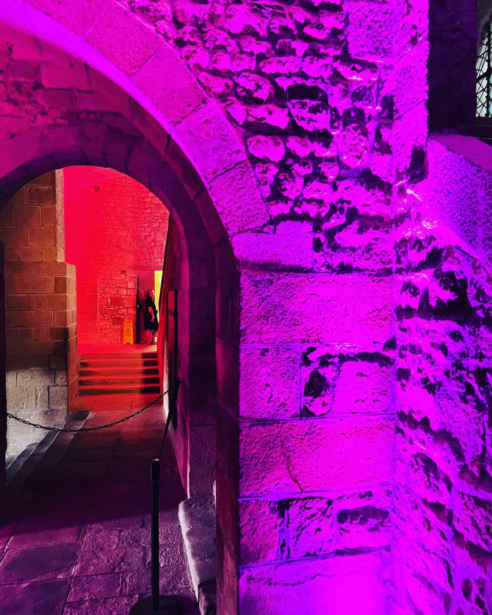 Chef_e_heusser's tweet photo. Le Mont Saint Michel est aussi mystérieux 💙🤍❤️ #chef #gavray #granville #brehal #saintmartindebrehal #villedieulespoeles #avranches #coutances #hambye #jullouville #saintpairsurmer #cerences #restaurant #gastronomie #gastronomiefrancaise #lemontsaintmichel #cherbourg #bfm #m6 https://t.co/x05eapvJt2