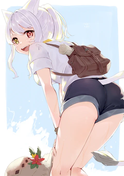 無人島ミコッテ 
