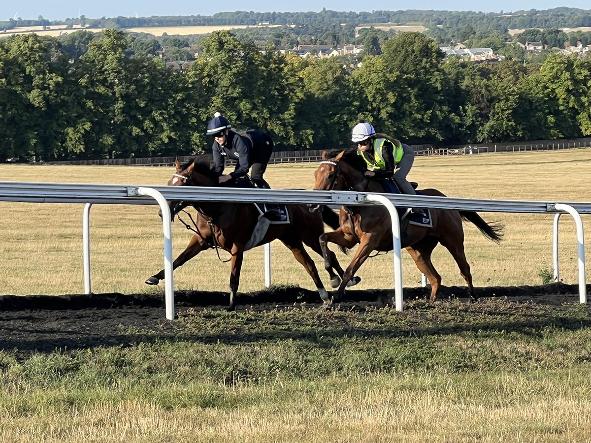 JayBow1066's tweet photo. Super day out yesterday at Warren Hill gallops, Newmarket. Saw 2 of our fillies from @gbougheyracing and @tomcloverracing up on the gallops plus stable visits to each. Also visited the @NHRMuseum which was brilliant #storymaker #electriclove @BritRacingClub https://t.co/wcBv71VejD