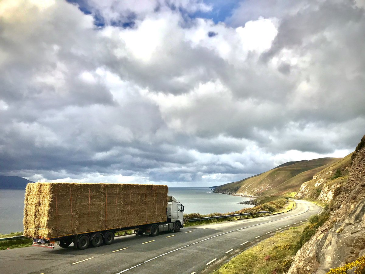 2 years ago to this day..delivering straw to the wild wesshtt 🌾28/08/20