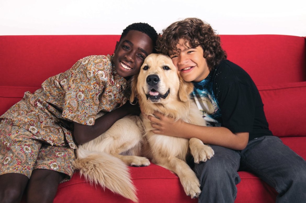 henclairthinker's tweet image. 