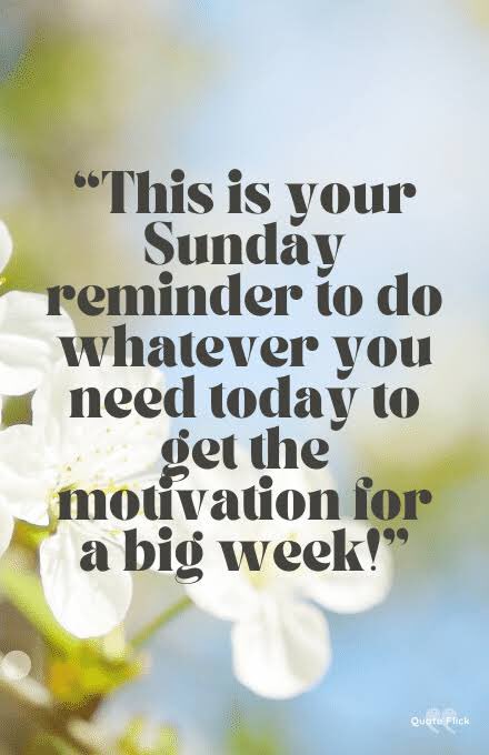 EmandesSDN's tweet photo. Remember to rest today, re-plan if you need to and prepare your mind to start the new week positively!

Have a lovely Sunday.😊

#sundayquotes #motivations #explore #explorepage #peace #postivity #mindfulness #emandessocialdevelopmentnetwork https://t.co/5FnRNIuaq7