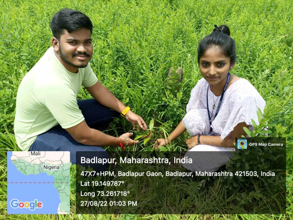 A team of 16 volunteers visited the place where they had planted trees last month. The idea of Tree conservation (वृक्ष संवर्धन) suggested by our DC <a href="/JeevanVichare/">Jeevan Vichare</a> implemented by volunteers of Vedanta college #SaveTrees
