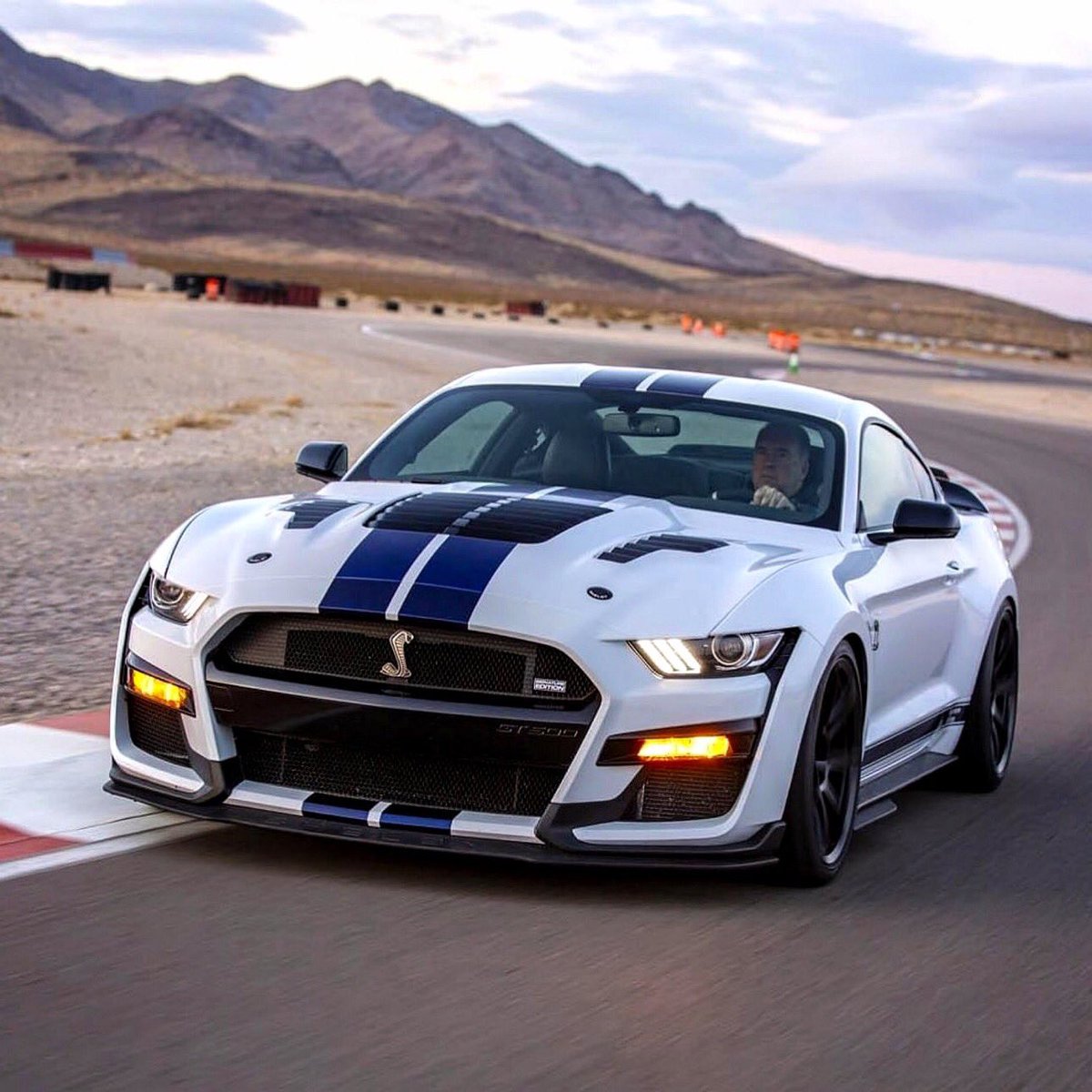 Cobra3dD's tweet photo. “ Sunday Shelby “ https://t.co/8t4WpC7aLH