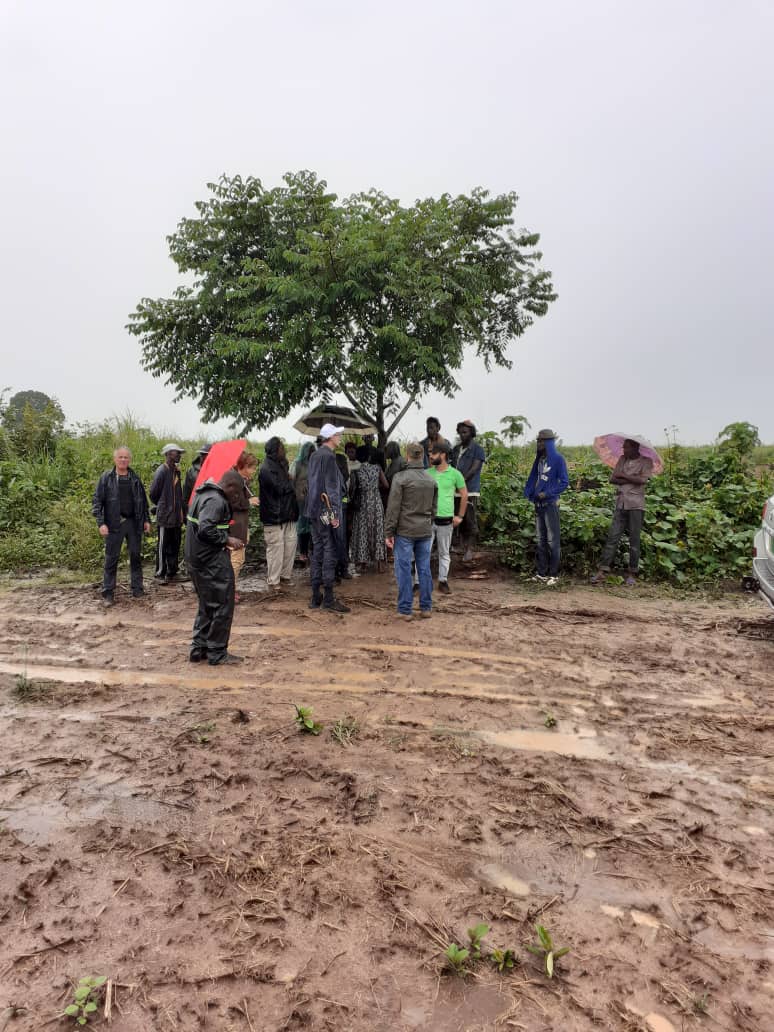 1. Il ne faut qu’un petit arbre pour nous abriter de la pluie. Sur le terrain à Damara et Sibut – objectif évaluer les enseignements tirés des actions de promotion de l’entrepreneuriat en milieu rural (#FondsBekou #PAPEUR), et échanger avec les membres des coopératives/