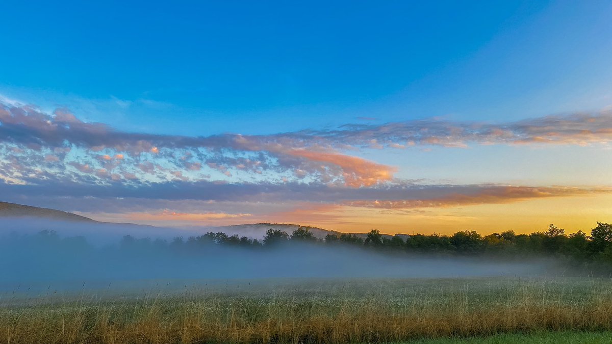 vineyardwarrior's tweet photo. GM! Made it out of the fog 🌫 #beautifulmorning #drive2work #fingerlakes #fog #goodmorning #landscape #landscapephotography #NaturePhotography #photography #sunrise #sunrisephotography https://t.co/kugLIFq8Ga