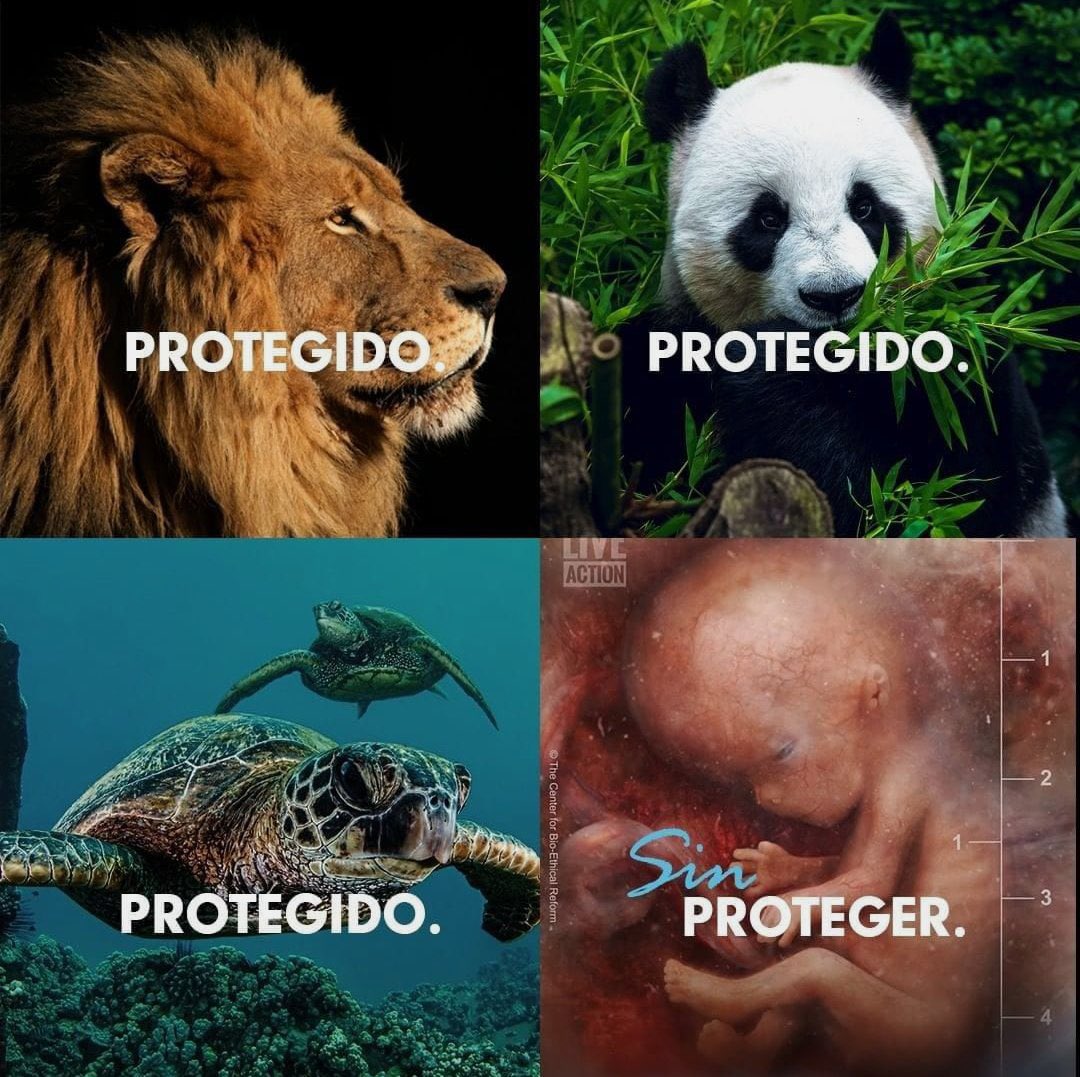 porlavida2014's tweet image. Incongruencia. 

#SialaVida