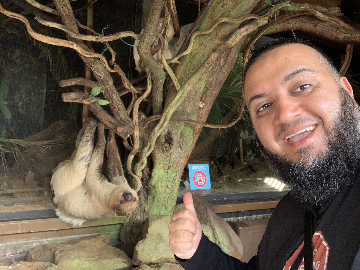 abid_patel's tweet photo. Just another Sunday at @zsllondonzoo, chilling with my sloth pal! 😎
#SlothSelfie #SelfieKings #LondonZoo #SummerHolidays #AbidBackHome https://t.co/qvrYucJkdj