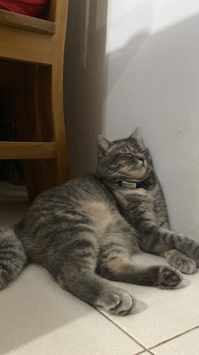 czaplatysma's tweet photo. @mookieperscot as my moods for today’s aral

“Andami ko pa palang kailangang aralin”
“Oh well. Itutulog ko nalang to”

And it’s raining again. Very not conducive for studying 😭 https://t.co/UClLjF3XzD