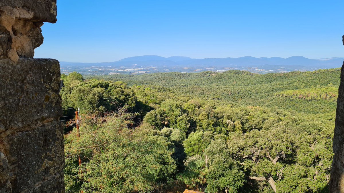 miquelsola's tweet photo. Avui amb #quantumbtt ens hem arribat fins al Puig del Mas Montalt (@AjQuart). Abans però hem tingut la sort de trobar l'església de Sant Mateu de Montnegre oberta (s'obre un cop cada tres mesos) i hem pogut pujar al campanar. Bones vistes al Montigalà, Montseny... https://t.co/9Rwtzqmr4y