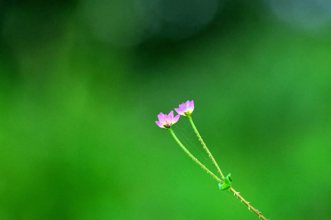 内田 平孝 Hiratakauchida Twitter