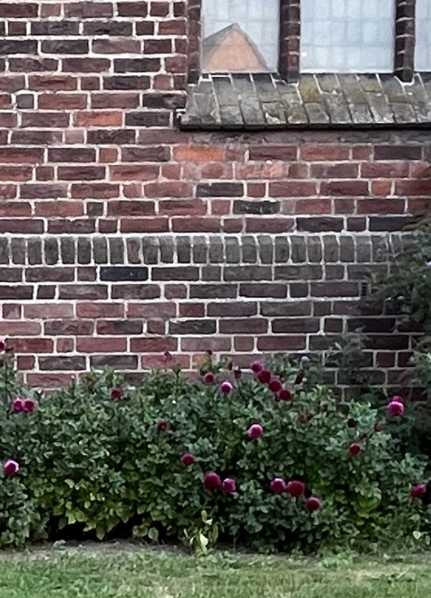 Stadsebergen's tweet photo. @Brabantsedag , zijn we weer! Een fantastische dag toegewenst. Vooral genieten. En nog een compliment aan meneer pastoor voor de toepasselijke aankleding langs de kerk. Kunnen we waarderen!👍🏻👍🏻👍🏻 https://t.co/GswhO8ihBS