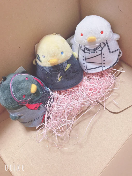 チュン届いためちゃくちゃかわいい〜…おチビのしっぽの色が2色なのかわいい 
