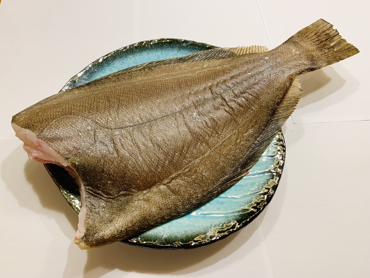 田村 正文🍥 on Twitter: 