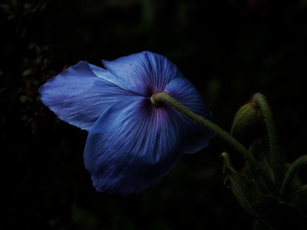 ambientabbot's tweet photo. https://t.co/Br5Tn2BdnC
