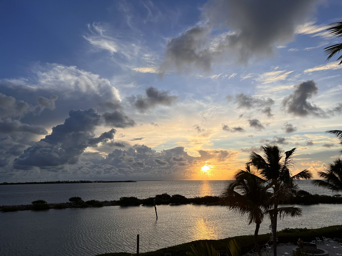 stormewarren's tweet photo. Good morning from Duck Key!@HawksCayResort #KeysToCountry https://t.co/Vjkk5J0mJy