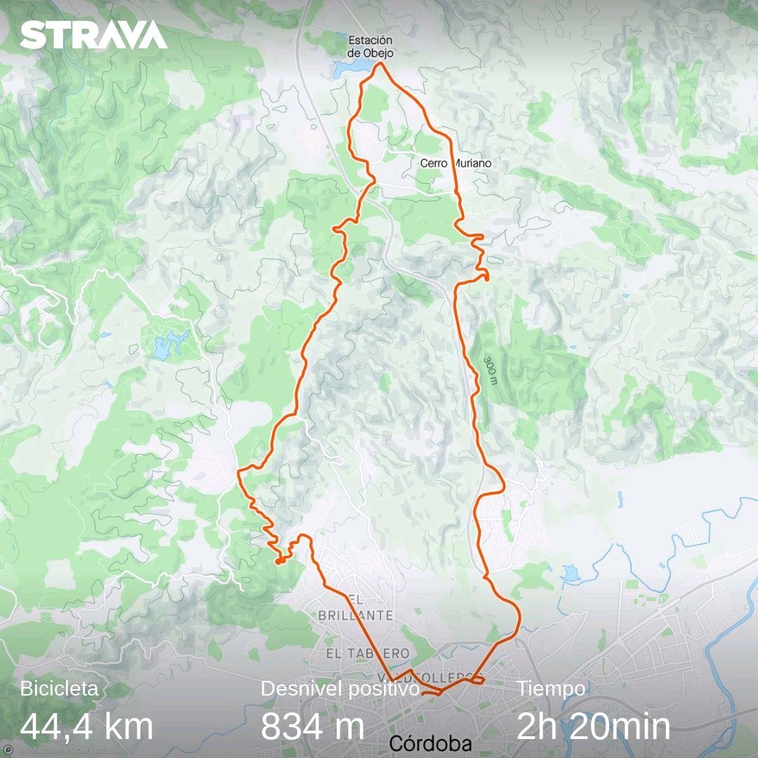 Antonio David Muñoz Rojano tweet media