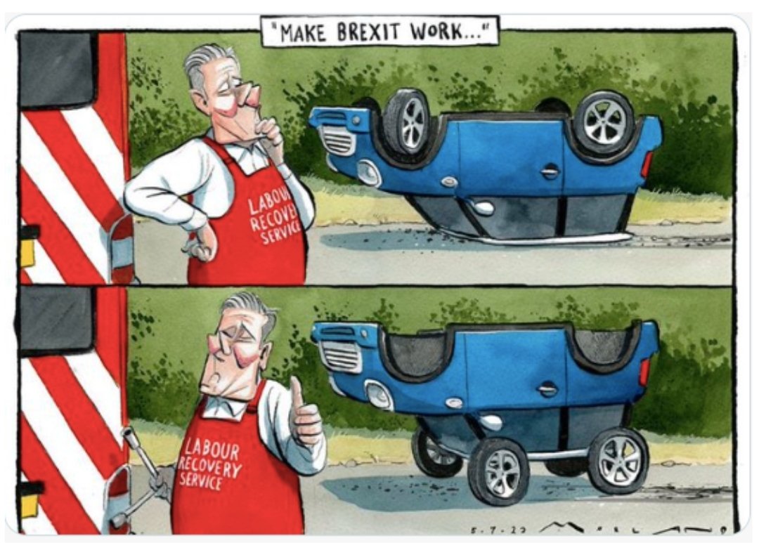 Nooli68's tweet image. Love this cartoon from #RejoinAndReform @sonofr