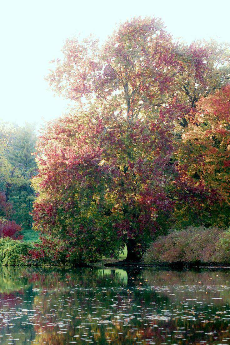 Havenlust's tweet photo. Claude Monet https://t.co/3t3rYHQLzj