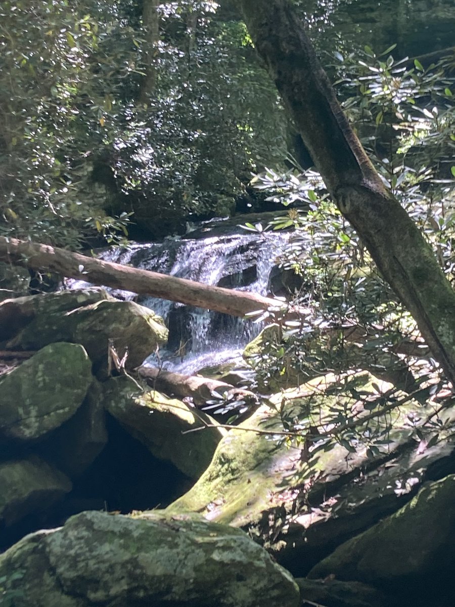denadynk's tweet photo. What a great solo hike I did yesterday! Beautiful falls https://t.co/900crsTI77