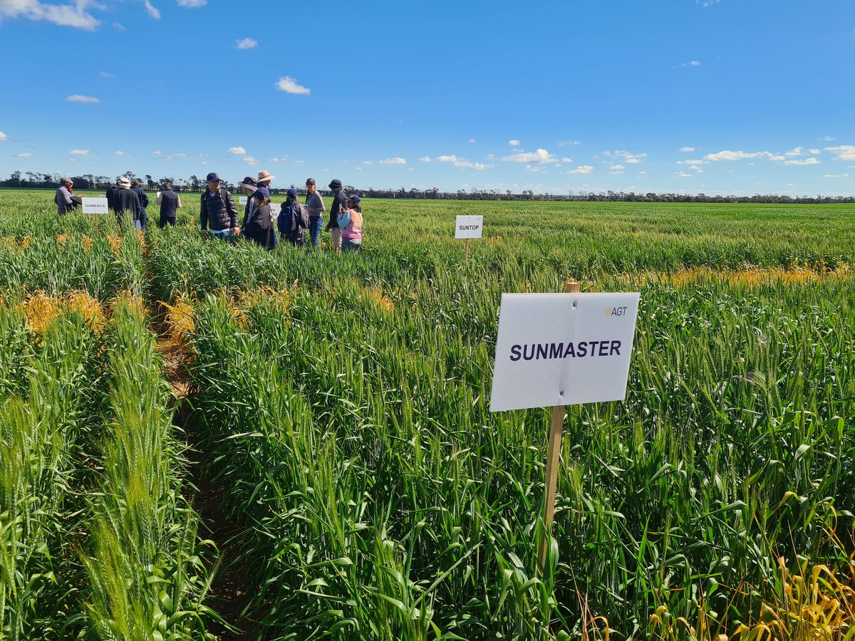 #WBA2022 tour to <a href="/agtbreeding/">AGT</a> breeding site at North Star. It was great to see our wheat breeder <a href="/lmeiqin/">Meiqin Lu</a> discussing the generational interactions with Malcolm &amp; his family. It all started with Sydney University trials in 1920. Great history &amp; great results.