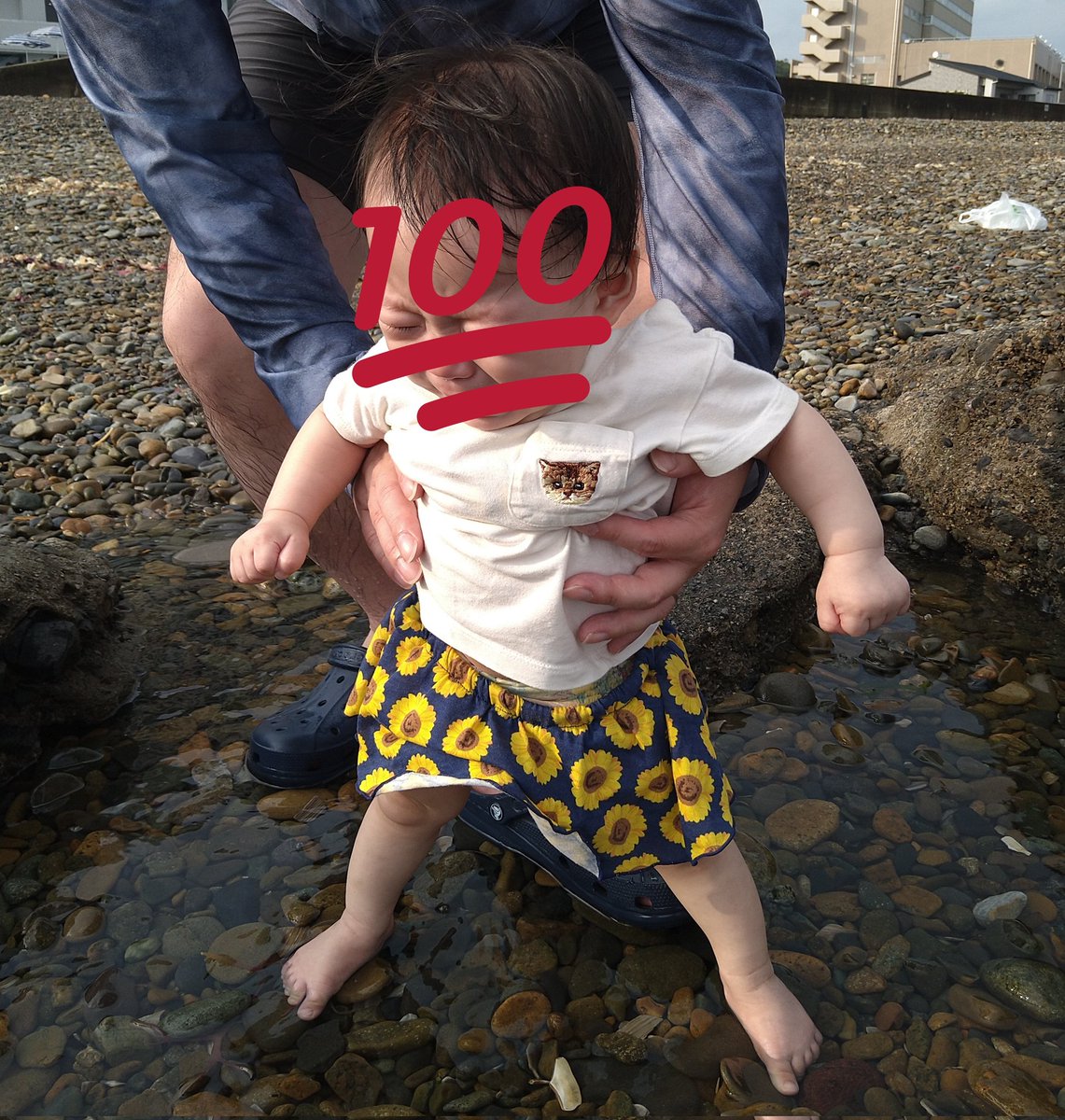 medekomama's tweet photo. 初めての海。ギャン泣きでした（笑）
#9mth #初めての海　#泣きまくり https://t.co/P4ZQAz7myT