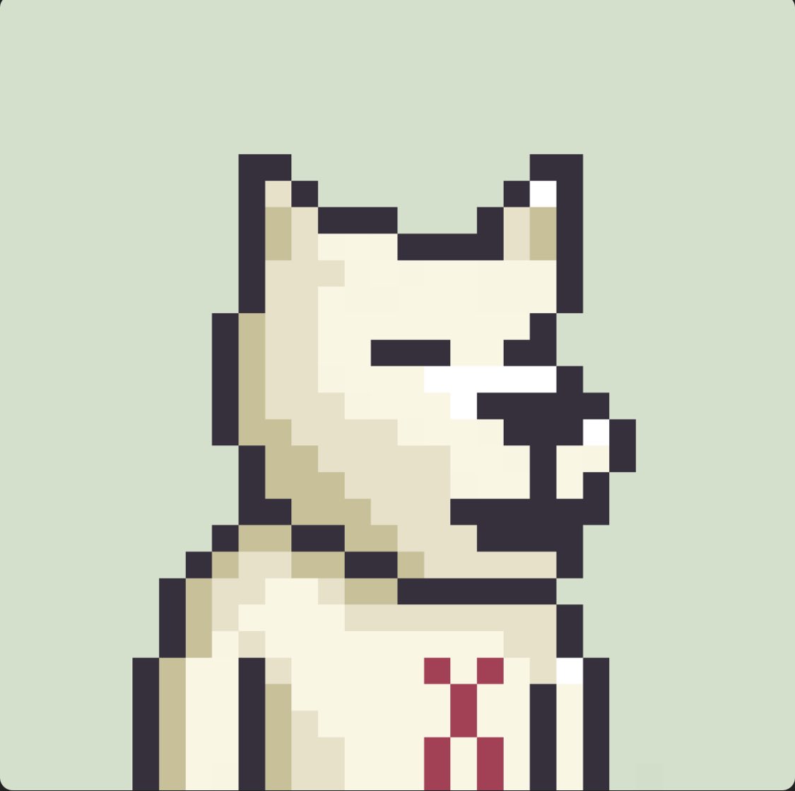 Should i buy 5 more?🤔 
New account hope to get some love from <a href="/XthStTerriers/">10th St. Terriers (𝖃𝖙𝖍)</a> 
RUFF RUFF