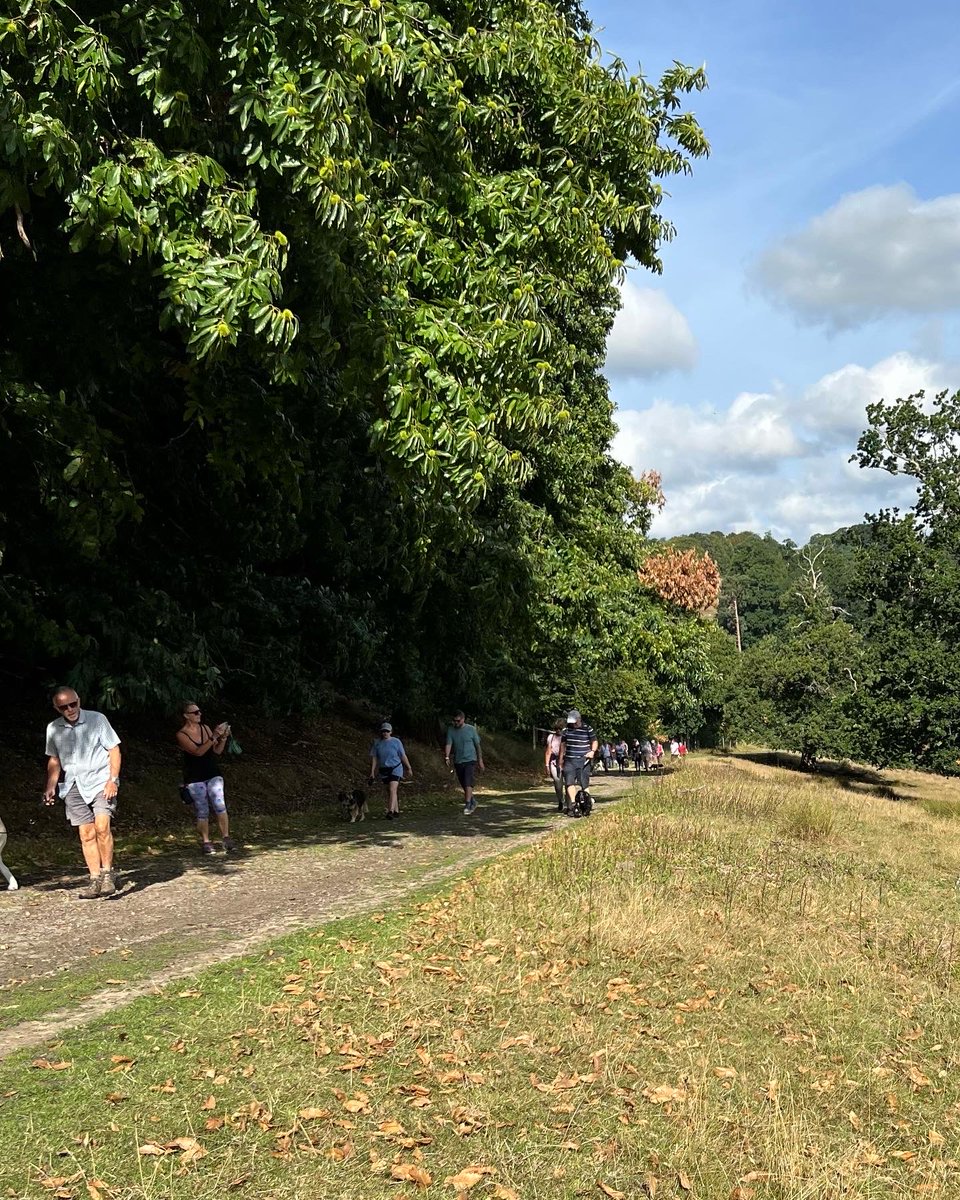 chesterterrier's tweet photo. Monthly ⁦@BoneCanis⁩ Dog Walk around Petworth Park 🐾🐶 #btposse #dogsontwitter https://t.co/QmuhRxGitY