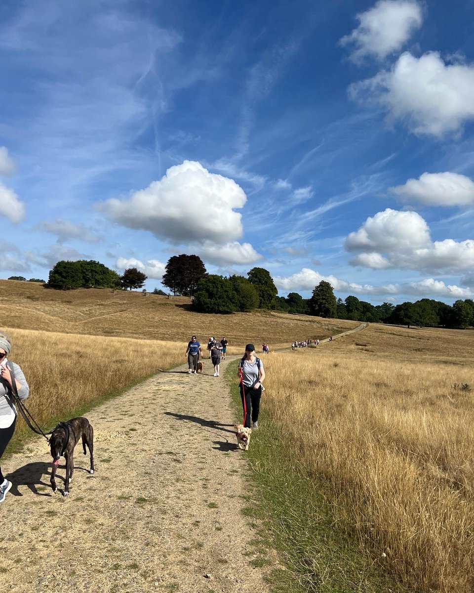 chesterterrier's tweet photo. Monthly ⁦@BoneCanis⁩ Dog Walk around Petworth Park 🐾🐶 #btposse #dogsontwitter https://t.co/QmuhRxGitY