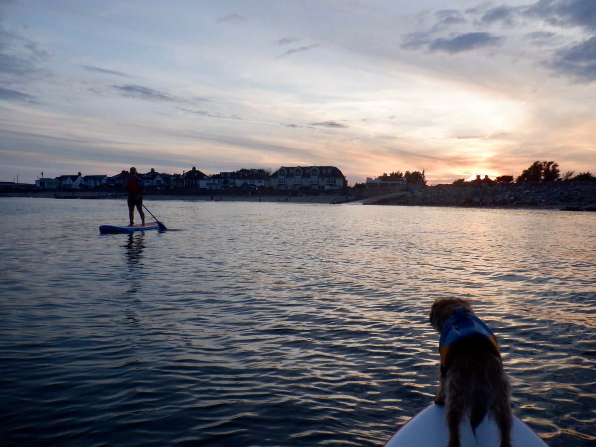 Majorkayaking's tweet photo. Sunset SUP at Newton Bay last night.  If you fancy learning how to paddle board in the safety of the calm waters at Barry Dock then drop me a line: info@valepaddlesports.co.uk

@carolvorders @_BARRYISLAND_ @gem_news @PorthcawlNCI https://t.co/8Ppn7Fi4gq