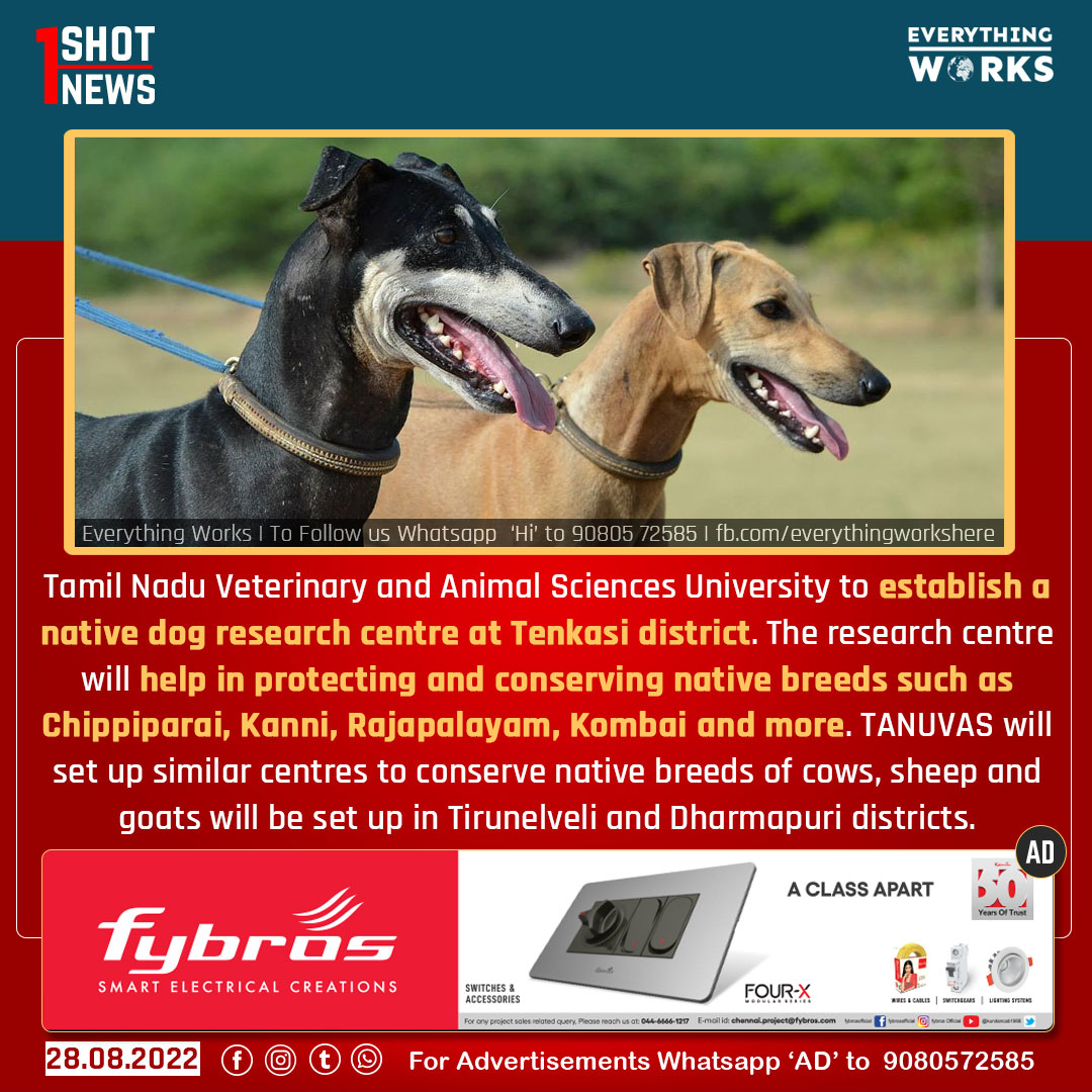 HereWorks's tweet photo. Tamil Nadu Veterinary and Animal Sciences University to establish a native dog research centre at Tenkasi district.
#1ShotNews | #Tamilnadu | #NativeDog | #Chippiparai | #Kanni | #Kombai | #TamilnaduNews https://t.co/tWD6ASSGsI