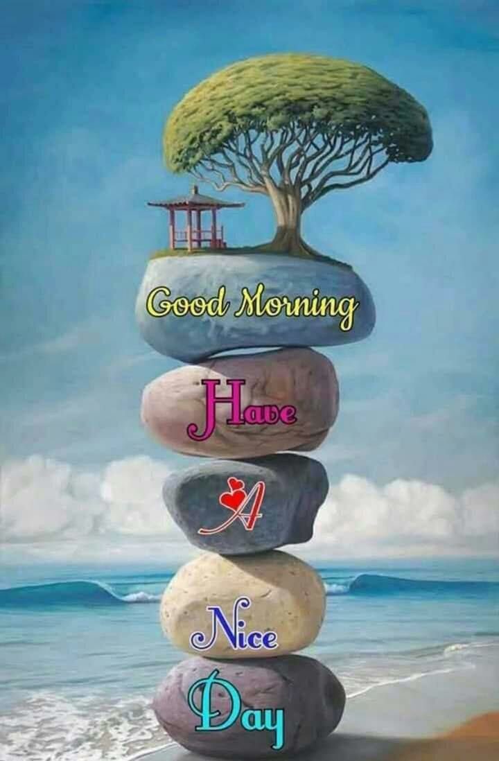 Annevolff's tweet image. 